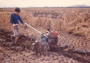 广东农机化改革开放的这40年